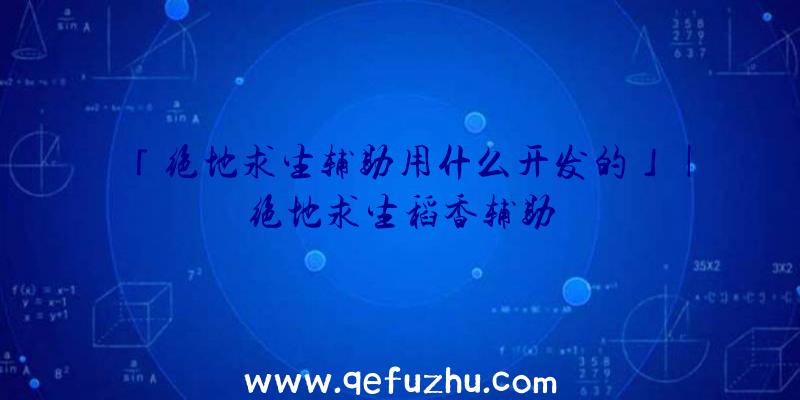 「绝地求生辅助用什么开发的」|绝地求生稻香辅助